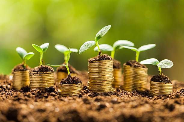 Seed Funding